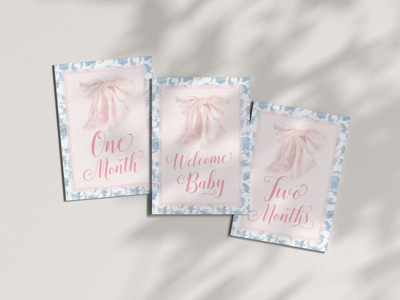 Baby Girl Milestone Cards Printed - Baby Gift - New Mom - Baby Shower Gift Ideas - Baby Month Cards - Keepsake Memories - Pink Heirloom Bow