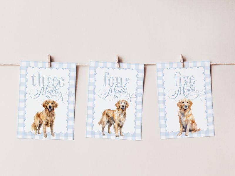 Boy Milestone Cards with Golden Retrievers - Gift Ideas - Baby Shower - Baby Month Cards - Keepsake Memories - Classic Baby Boy Gingham