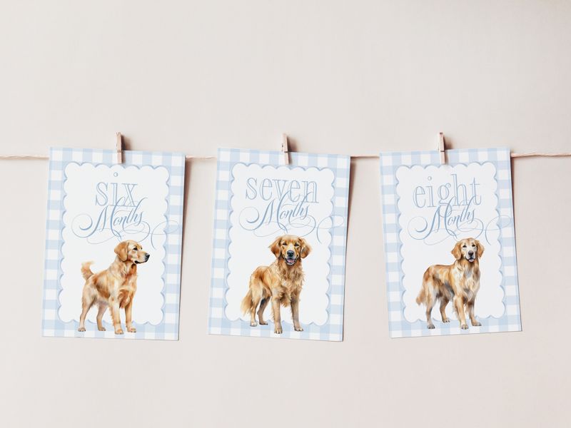 Boy Milestone Cards with Golden Retrievers - Gift Ideas - Baby Shower - Baby Month Cards - Keepsake Memories - Classic Baby Boy Gingham