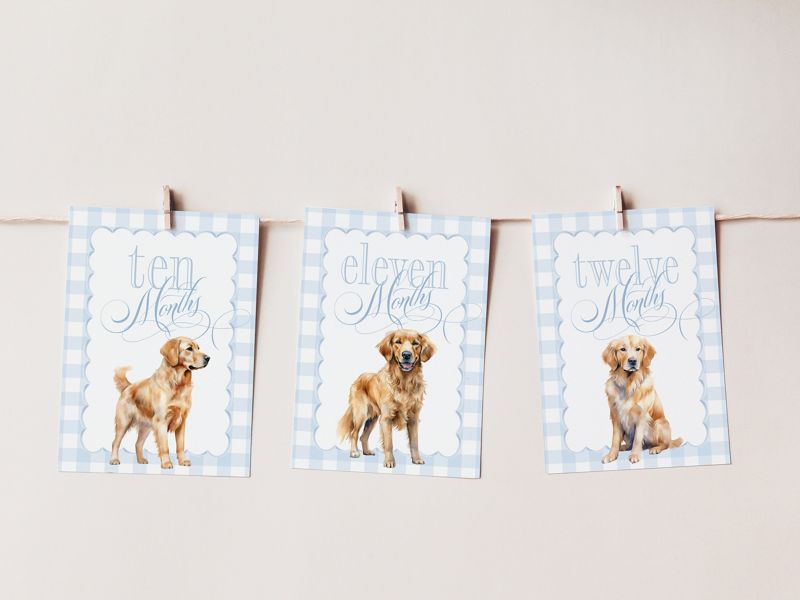 Boy Milestone Cards with Golden Retrievers - Gift Ideas - Baby Shower - Baby Month Cards - Keepsake Memories - Classic Baby Boy Gingham