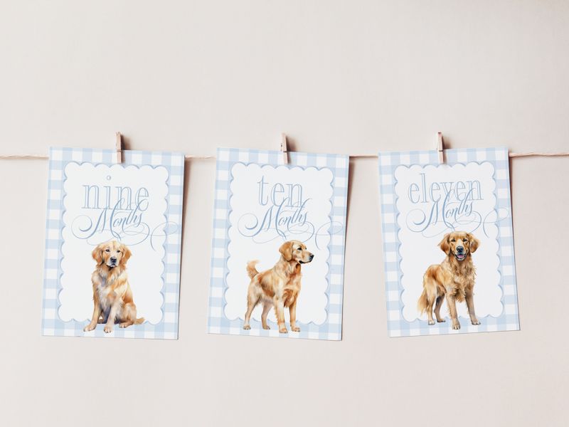 Boy Milestone Cards with Golden Retrievers - Gift Ideas - Baby Shower - Baby Month Cards - Keepsake Memories - Classic Baby Boy Gingham