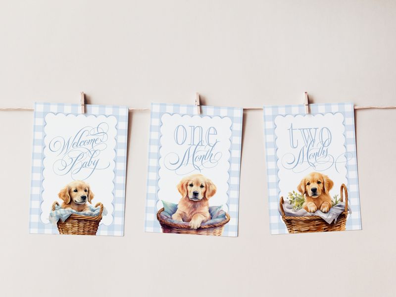 Boy Milestone Cards with Golden Retrievers - Gift Ideas - Baby Shower - Baby Month Cards - Keepsake Memories - Classic Baby Boy Gingham