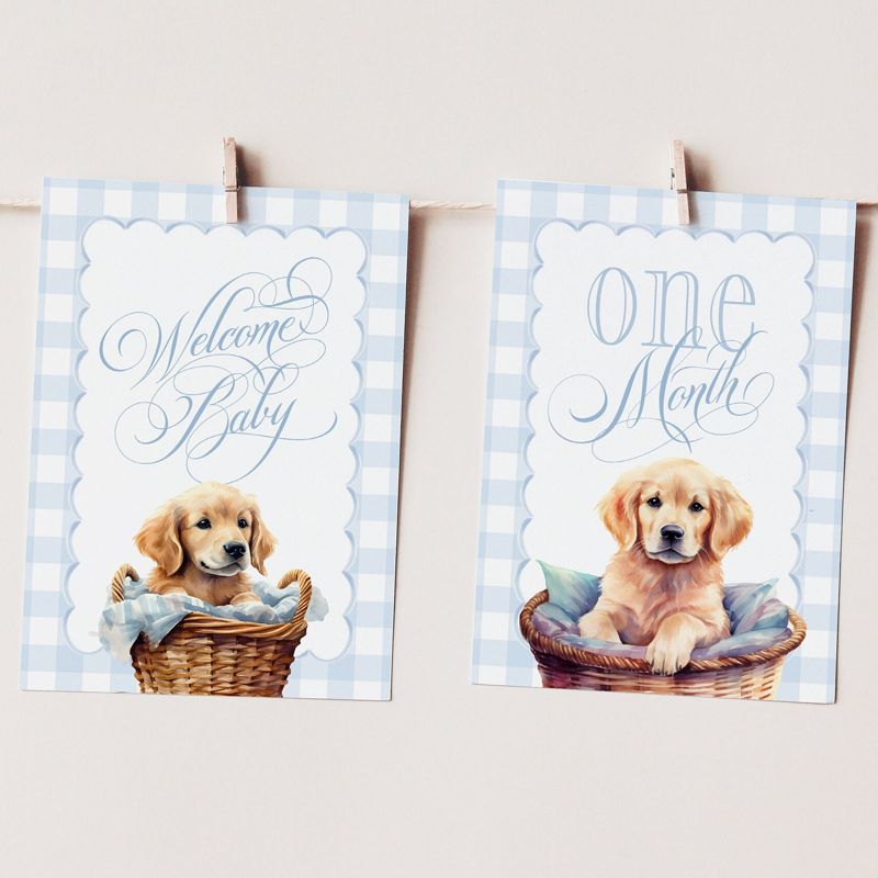 Boy Milestone Cards with Golden Retrievers - Gift Ideas - Baby Shower - Baby Month Cards - Keepsake Memories - Classic Baby Boy Gingham