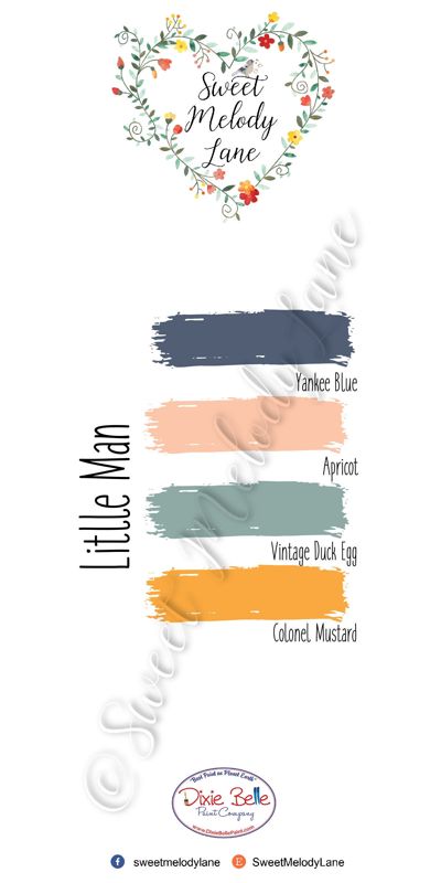 Little Man Color Pallet