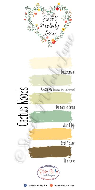 Cactus Woods Color Pallet