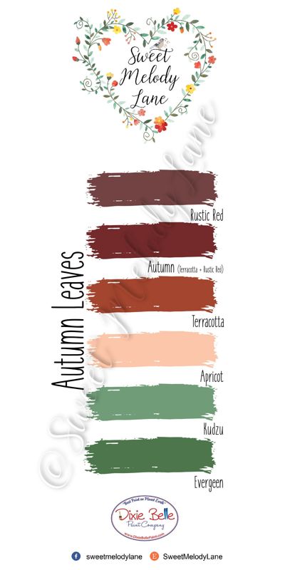 Autumn Leaves Color Pallet