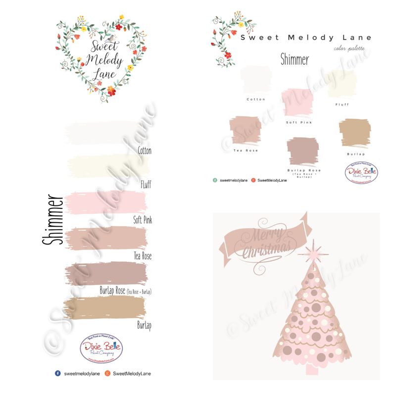 Shimmer Color Pallet