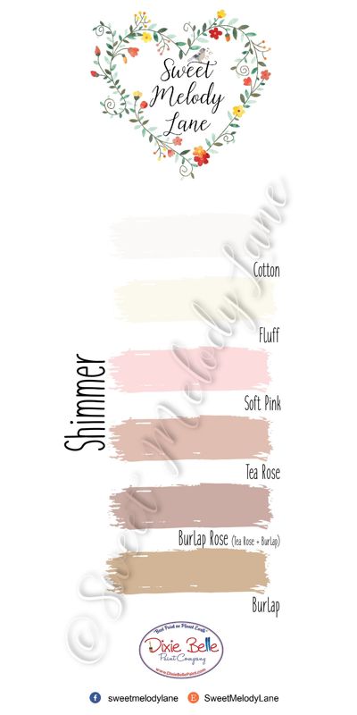 Shimmer Color Pallet