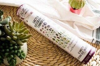 Cacti & Succulents Transfer, Rub on transfer, furniture transfer, Belles and Whistles, Dixie Belle Transfers
