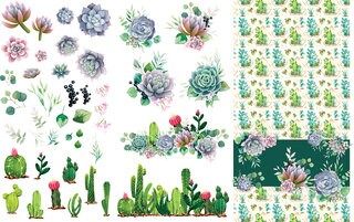 Cacti & Succulents Transfer, Rub on transfer, furniture transfer, Belles and Whistles, Dixie Belle Transfers