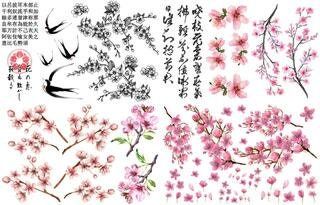 Cherry Blossom Transfer, Rub on transfer, furniture transfer, Belles and Whistles, Dixie Belle Transfers