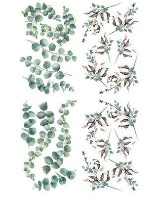 Cotton & Eucalyptus transfer, Rub on transfer, furniture transfer, Belles and Whistles, Dixie Belle Transfers