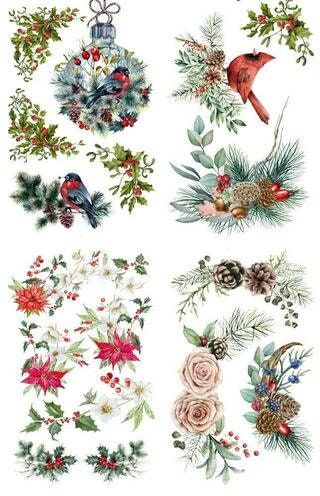 Evergreen and Holly transfer, Rub on transfer, furniture transfer, Belles and Whistles, Dixie Belle Transfers