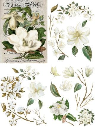 Magnolia Garden Transfer, Rub on transfer, furniture transfer, Belles and Whistles, Dixie Belle Transfers