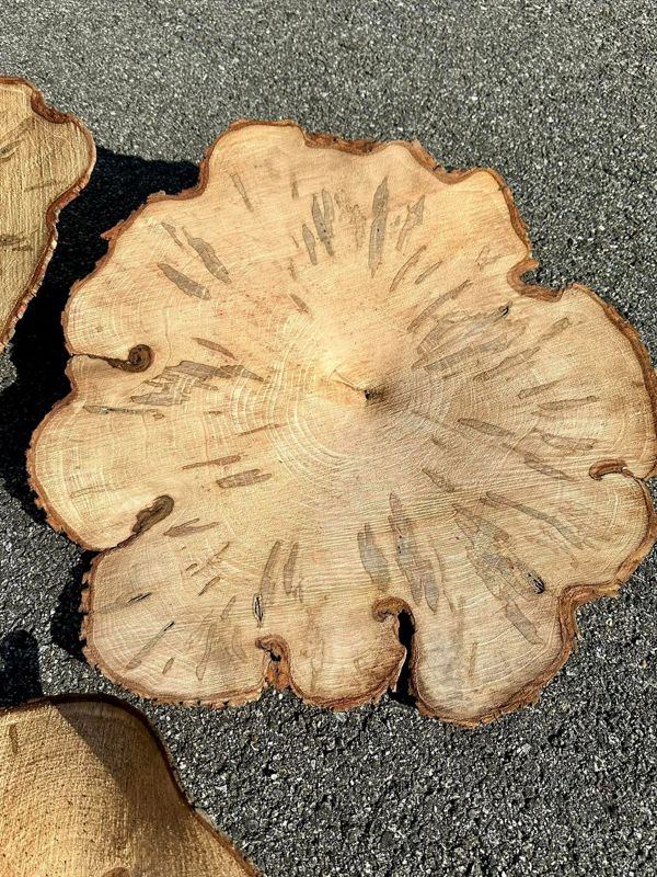 Spalted Maple Decorative Chip (Extra Small)