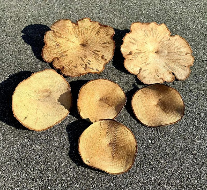Spalted Maple Decorative Chip (Extra Small)